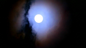 满月的夜空和柔软的阴暗树洞通过44秒视频