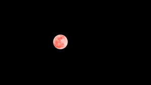 满橙色橡木月在明亮的夜空中云层时间流逝12秒视频