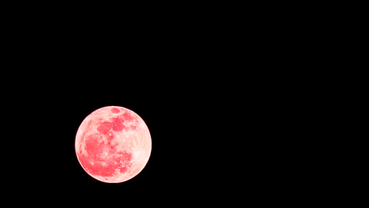 夜空中的超级红橡树月亮视频