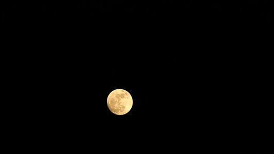 夜空中的橙色圆橡树月亮视频