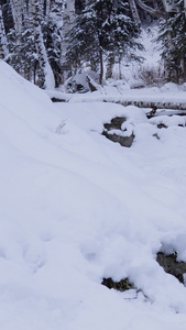 冬季不冻河流森林冰雪消融视频