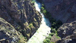 有河流的岩石峡谷树生长在岸边15秒视频