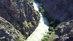 树生长在有河流的岩石峡谷15秒视频