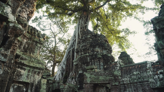 古老的Angkorwat毁灭了日出全景视频