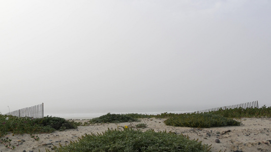 太平洋海岸海边雾雾烟雾的风景在西印度群岛和南印度河视频