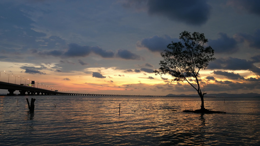 红树林在沿海海滨日落配有建筑双梁第二桥视频