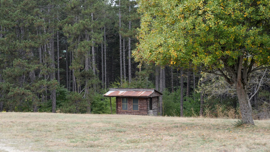 草地和小屋视频