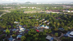 油棕榈地的清晨12秒视频