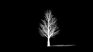 树生长中背影对着黑色21秒视频