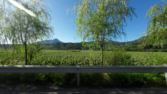 开车侧面风景 风光视频