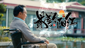 简洁中国风重阳节传统节日宣传展示32秒视频