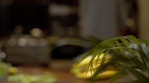 家用植物叶29秒视频