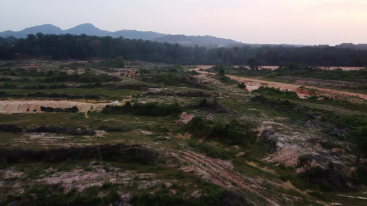 用砍树来清扫土地视频