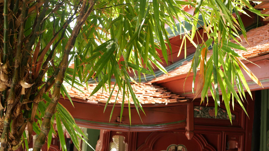 东方寺庙建筑附近的花园树在阳光明媚的日子里在泰国视频