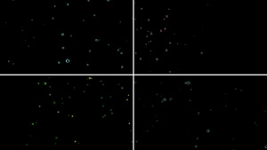 一组漂浮气泡粒子动画312秒视频