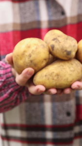 农民展示收获的土豆绿色蔬菜视频
