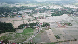 洪水淹没了大米田11秒视频