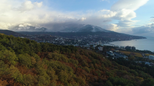 秋天的绿树和红树向城市飞去山上积雪背景空中观景鸟儿视频