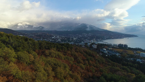 秋天的绿树和红树向城市飞去山上积雪背景空中观景鸟儿15秒视频