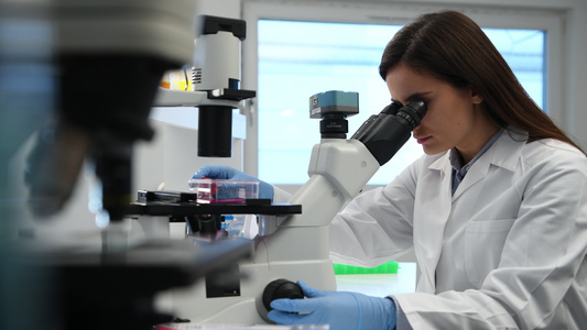研究人员在实验室的显微镜下观察干细胞培养物视频