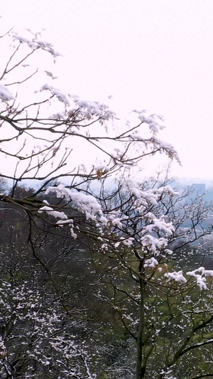 航拍南京雪景城市天际线4A景点105秒视频