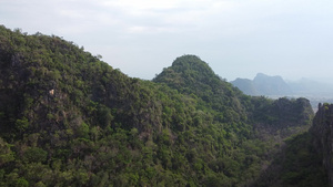 绿绿色美丽的地标全景大山树32秒视频