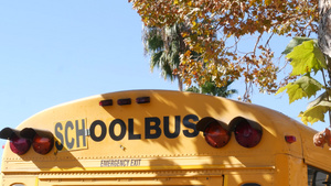 黄色标志性校车在美国加利福尼亚州洛杉矶学生后视图的11秒视频