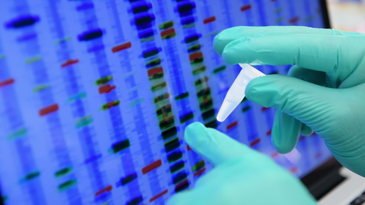 科学家在实验室的电脑屏幕上检查样本的基因组成视频