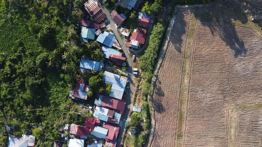 Malaysia村Kampung房屋附近的耕地视频