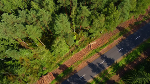 夏季绿色森林的顶层空中景象美丽的全景照片在松林顶部47秒视频