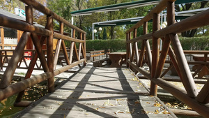 在公园的木桥上行走14秒视频