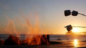 美国加利福尼亚州的篝火坑在海洋海滩上篝火在篝火上烤16秒视频