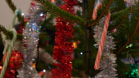 大麦甘蔗挂在圣诞树上两音糖果手杖糖果扭曲的圣诞手杖视频
