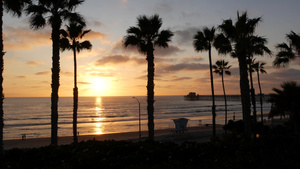 加州的棕榈和日落14秒视频