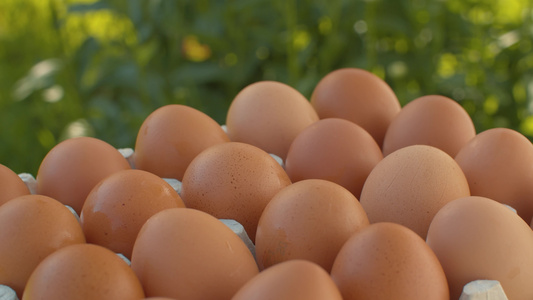 鸡蛋盒中的褐蛋视频
