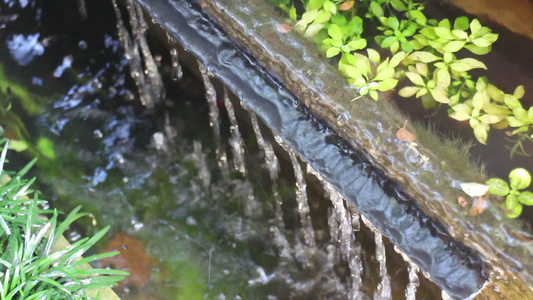 花园中的水池视频