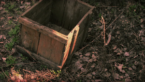 旧旧木箱19秒视频