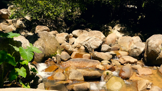 雨林和河流的景象与岩石深热带森林丛林与树木在快速岩流视频