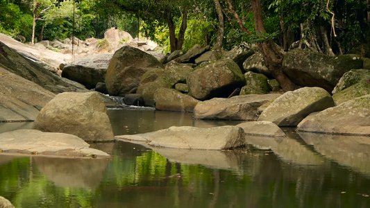 雨林和河流的景象与岩石深热带森林丛林与树木在快速岩流视频