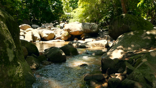 雨林和河流的景象与岩石深热带森林丛林与树木在快速岩流视频