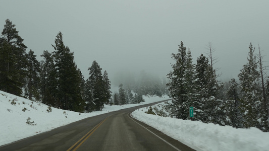 冬季森林中的雪雾驾驶汽车美国犹他州冬季公路旅行针叶视频