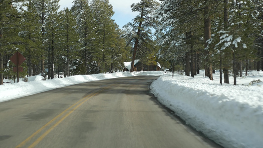 冬天美国犹他州森林里的公路旅行视频