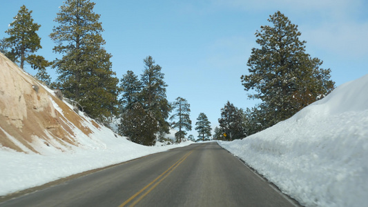 冬天美国犹他州森林里的公路旅行视频