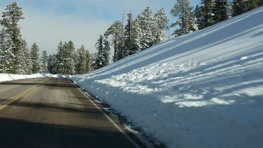 冬天森林里的雪驾驶汽车美国犹他州冬天的公路旅行针叶视频