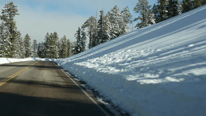 冬天森林里的雪驾驶汽车美国犹他州冬天的公路旅行针叶13秒视频