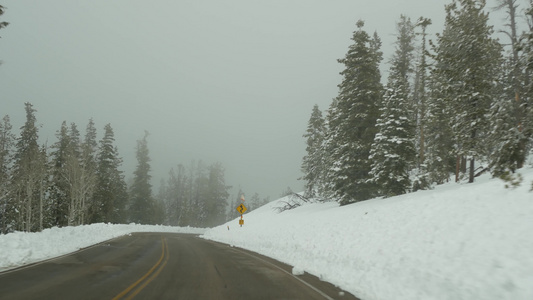 冬季森林中的雪雾驾驶汽车美国犹他州冬季公路旅行针叶视频