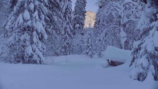 西比亚山上的雪林视频