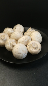 白蘑菇口菇视频