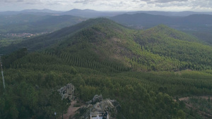 航拍森林风景13秒视频