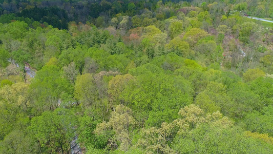 具有铁路道路轨迹的森林春季时间颜色的空中天空视图视频